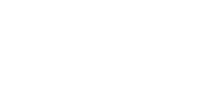 Logo Fiber NL